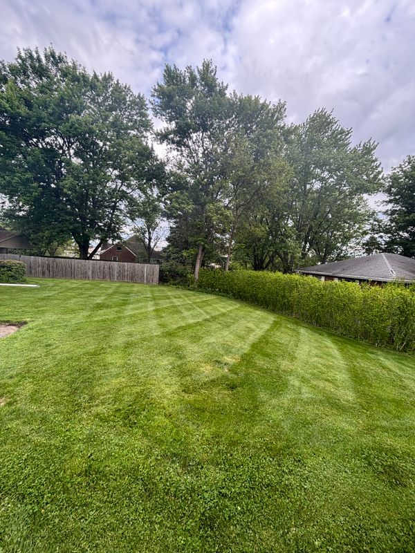 Lawn Care