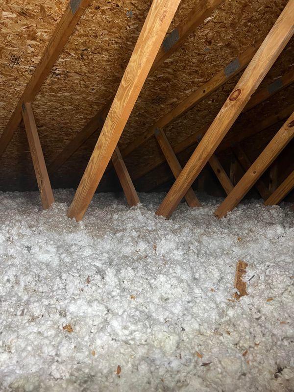 Blown Insulation
