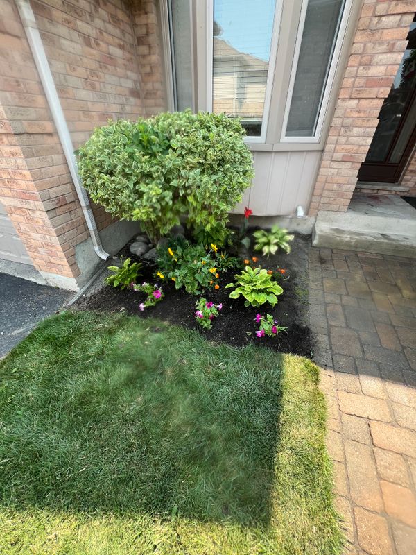 Landscaping