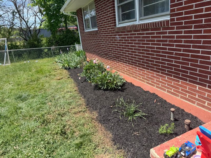Landscape Design