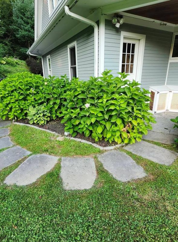 Patio Design & Construction