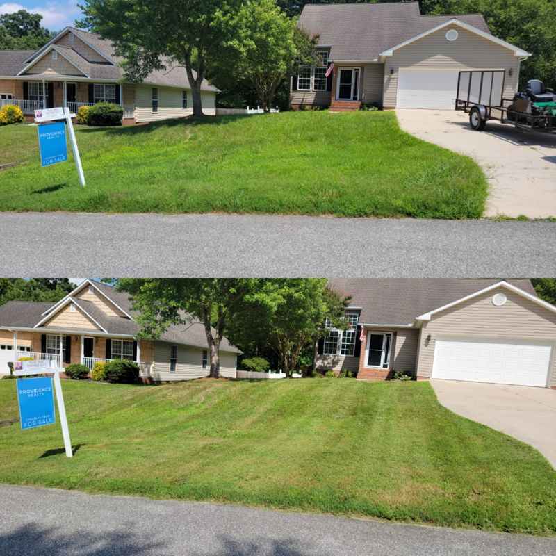 Before and After