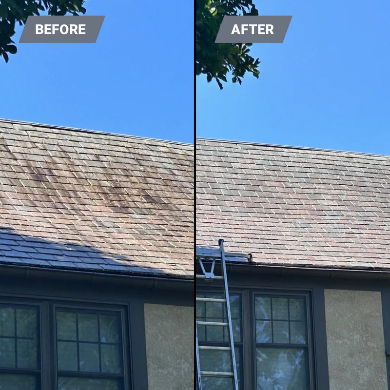 Roof Cleaning