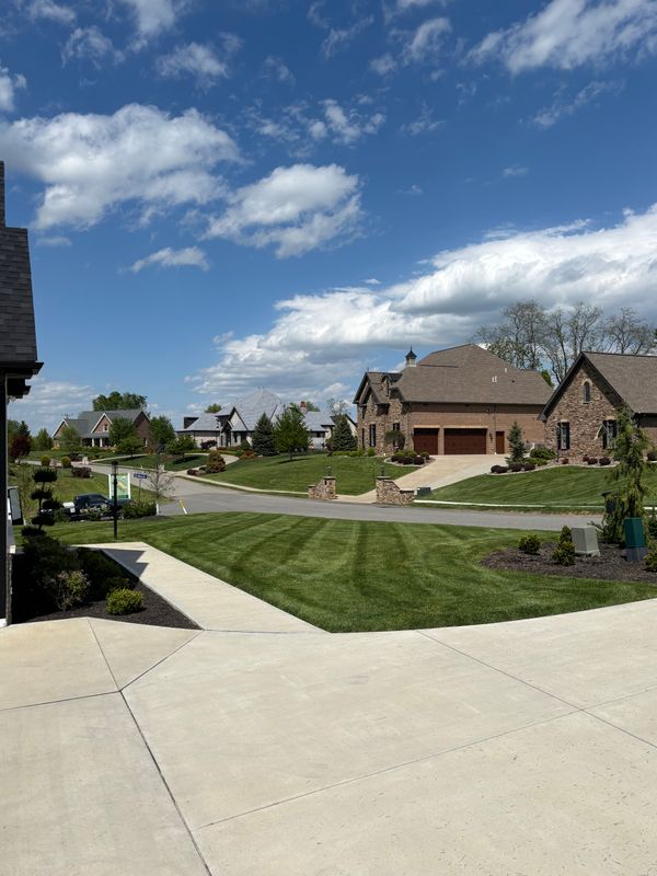Landscaping