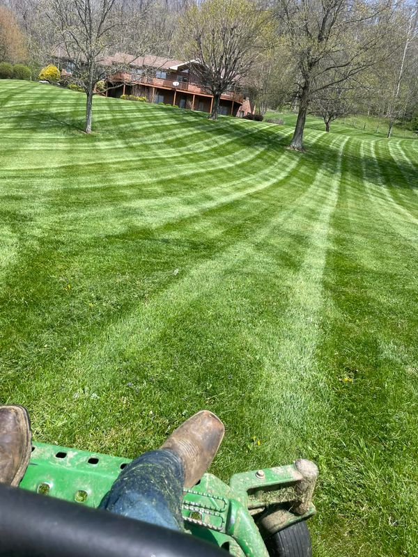 Fall Clean Up