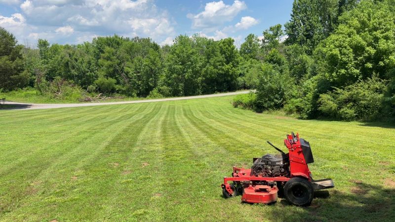 Lawn Maintenance