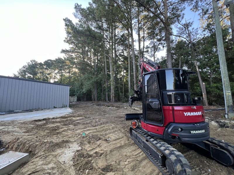 Tree Removal Pictures