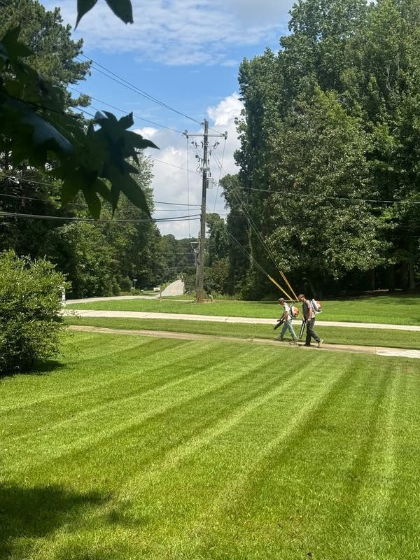 Lawn Mowing