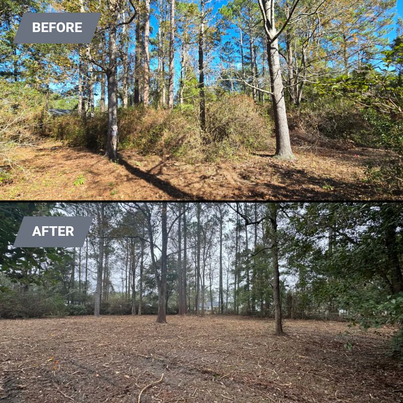 Land Clearing