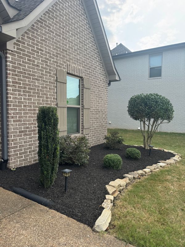 Shrub Trimming