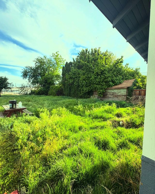 Weed Control