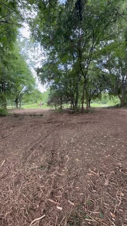 Land Clearing