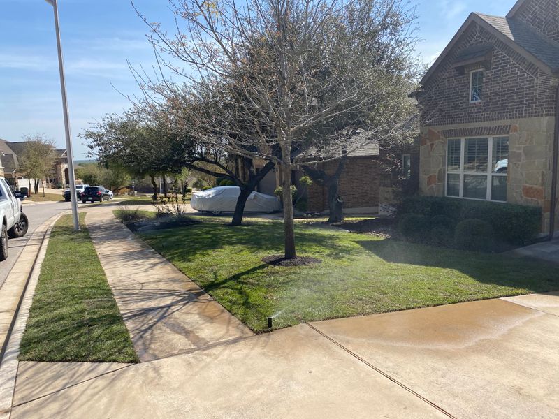 Tree Pruning and Trimming