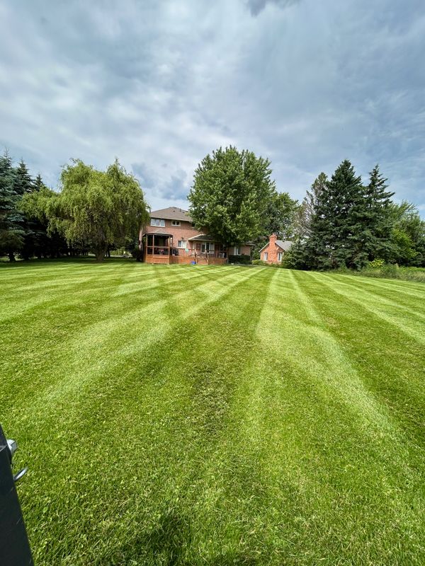 Lawn Mowing