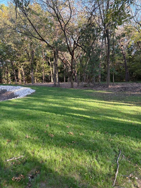 Site Preparation