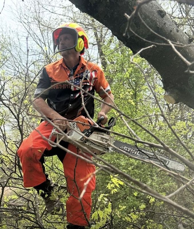 Tree Removal