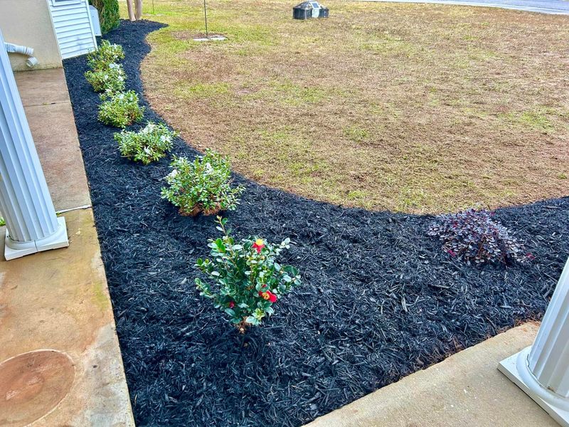 Landscape Bed Maintenance