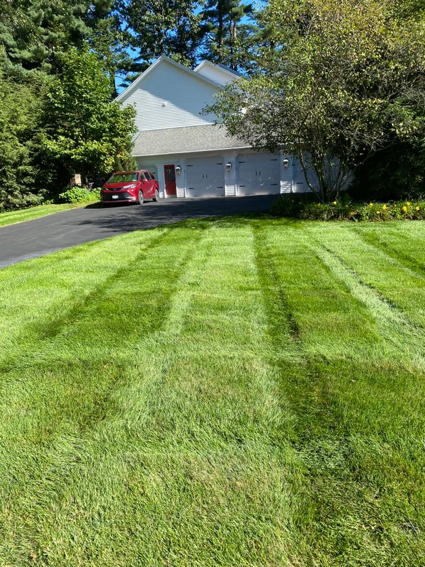 Mowing