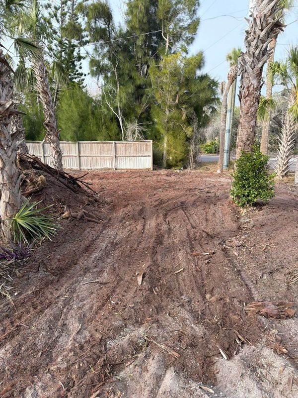 Heavy Equipment Stump Removal & Land Clearing: Englewood, FL