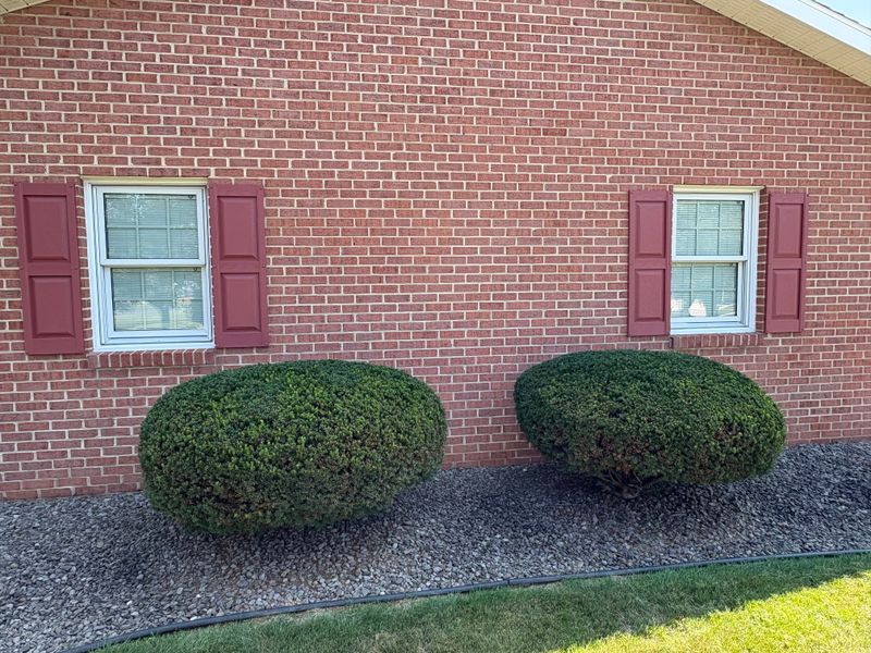 Shrub Trimming