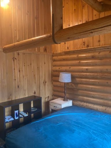 Log Home Restoration