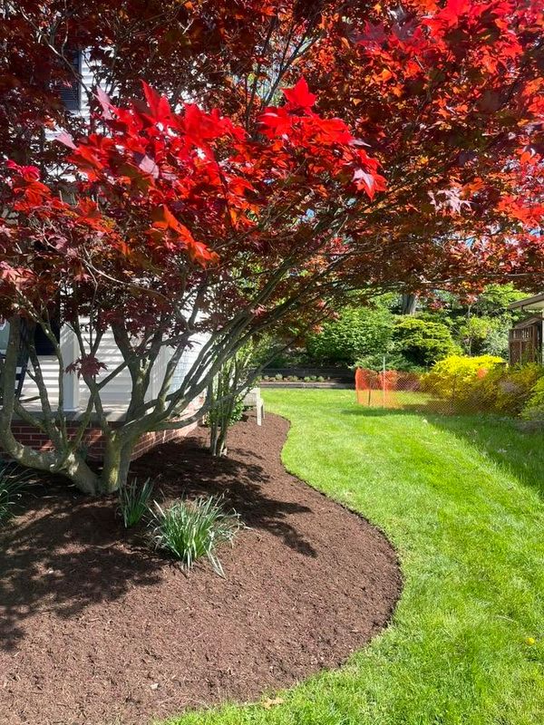 Landscape Design & Installation