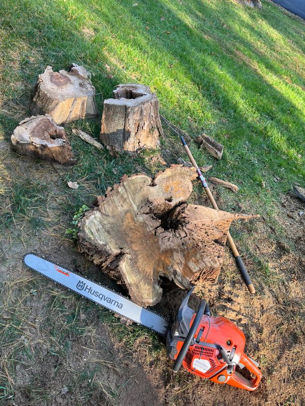 Tree Services