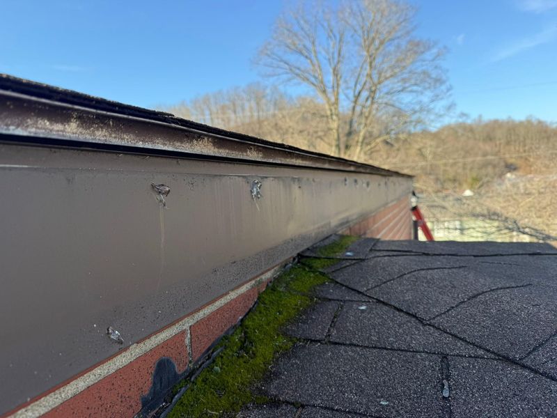 Gutter Maintenance