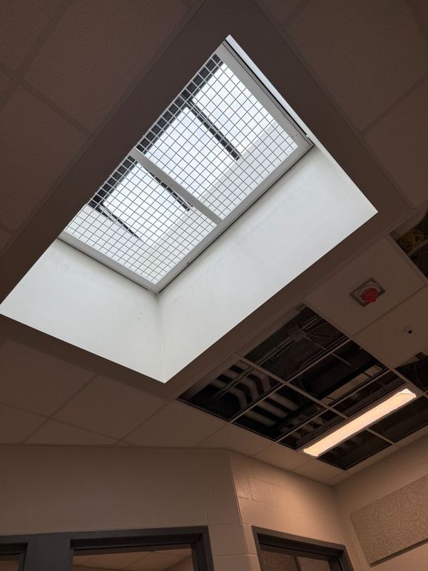 Innovative Skylight Grate Installation in Minnesota