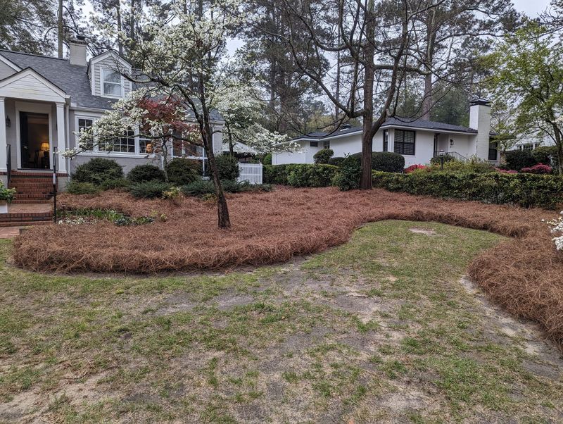 Landscape Design