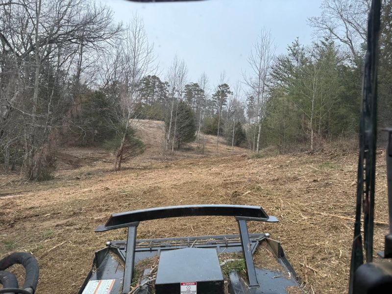 Land Clearing