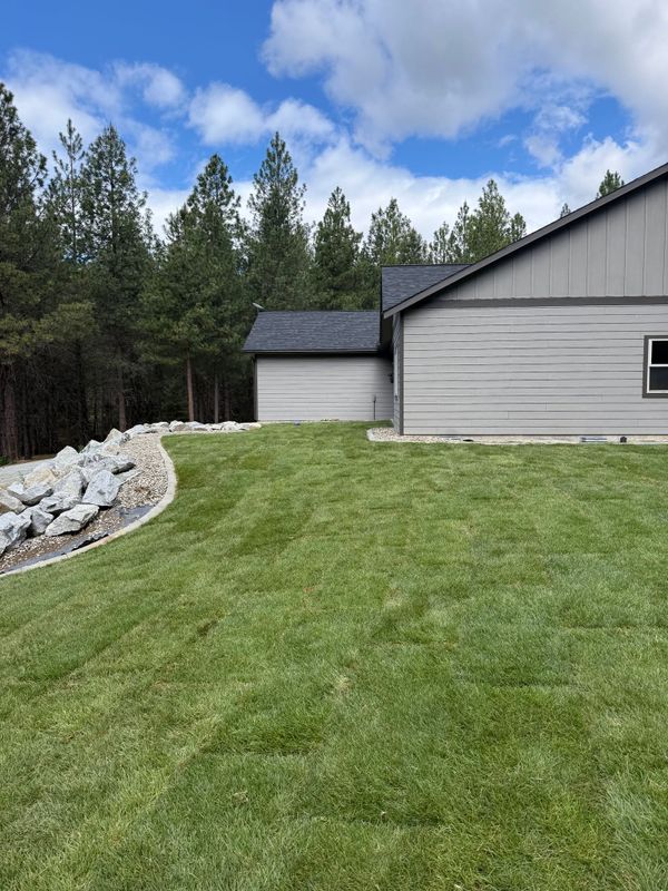 Sod Installation