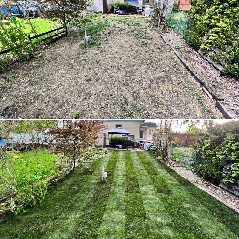 Landscaping