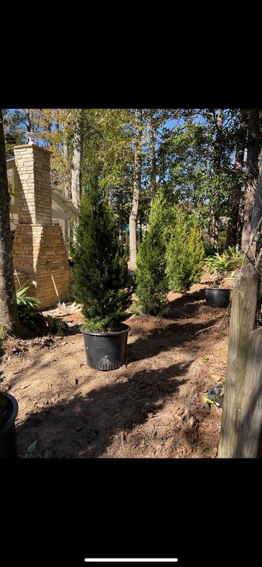 Landscape Design & Planting