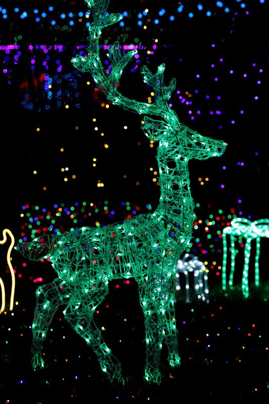 Christmas Light Installation