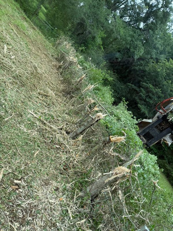 Land Clearing