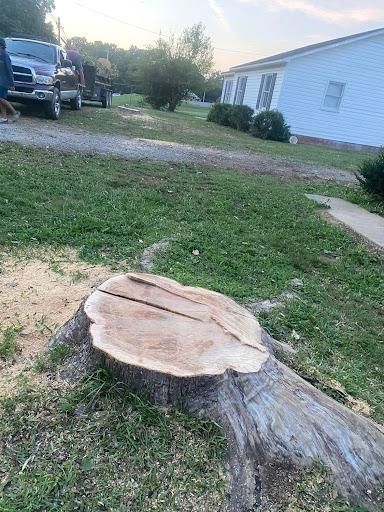 Stump Removal