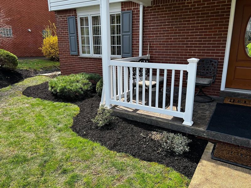 Lawn Maintenance