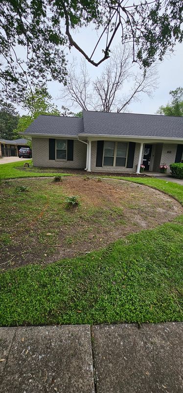 Tree Removal gallery