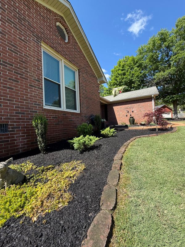 Plant & Shrub Installations