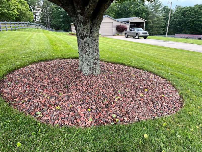 Tree & Shrub Care
