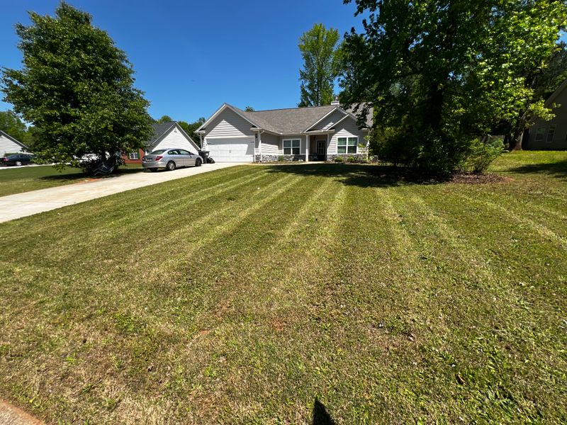 Lawn Care and Maintenance