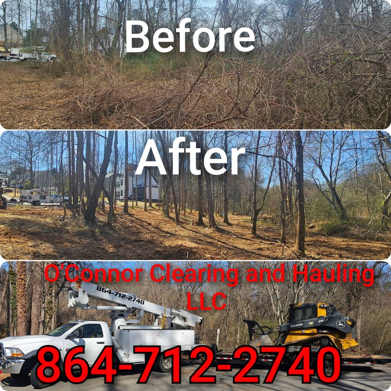 Debris Removal