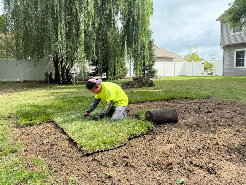 Mulch Installation