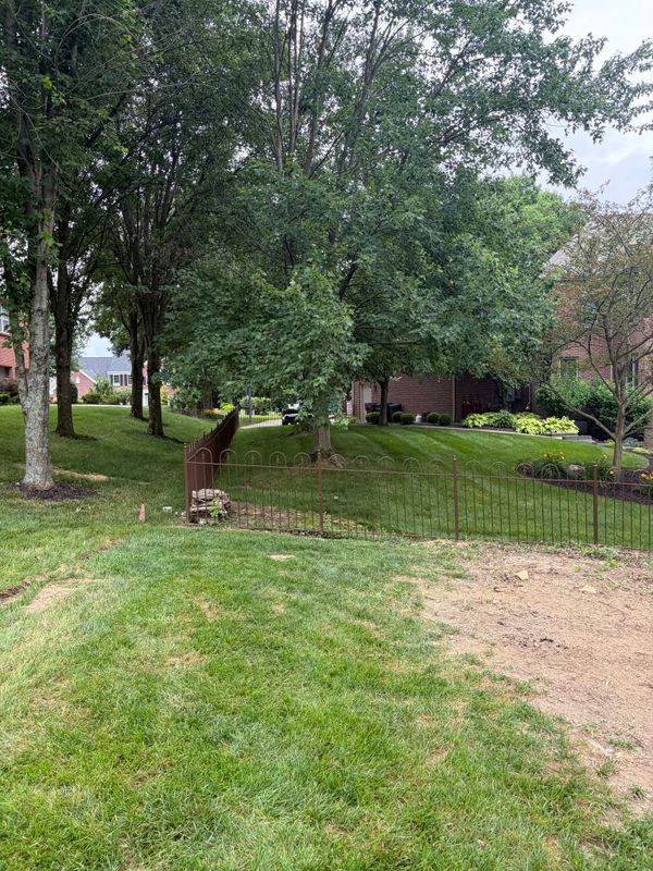 Garden Design