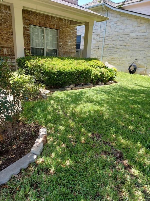 Landscape Design