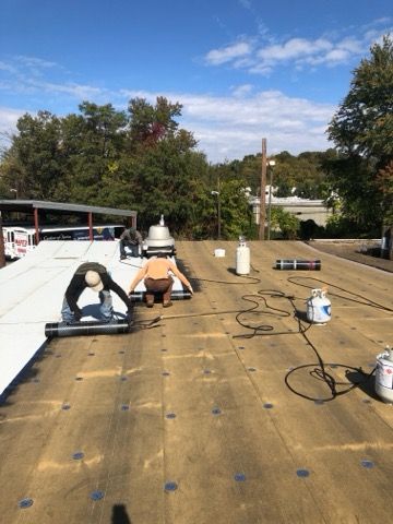Flat Roof Repair