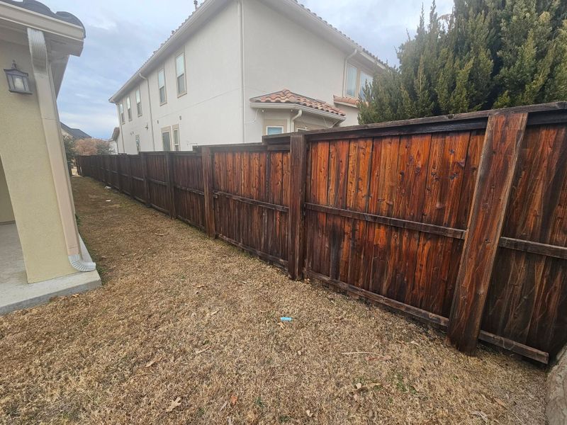 Fence & Deck Staining