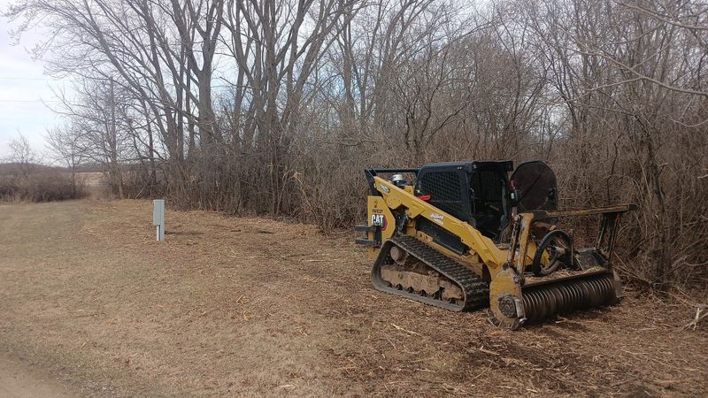 Forestry Mulching