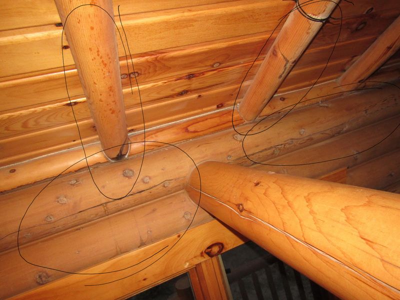 Interior Renovations